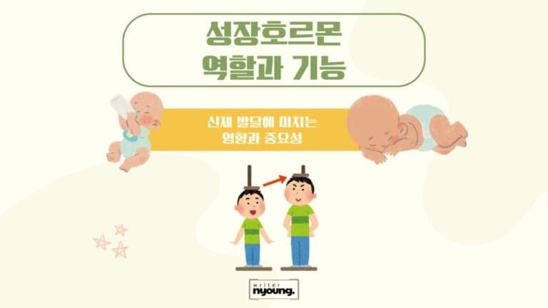 성장호르몬-역할과기능-포스팅-대문이미지