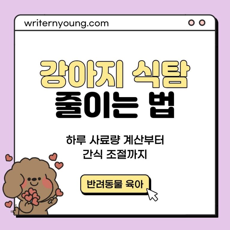 강아지-식탐-줄이는-법